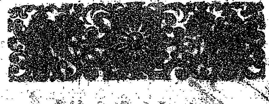 041/041190100000030_1.png