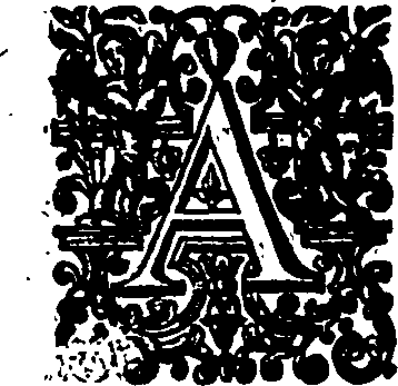 041/041260010100020_0.png