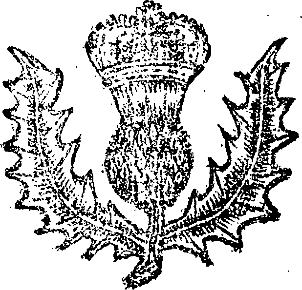 041/041310230002040_0.png