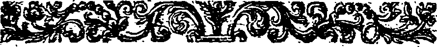 041/041370210000020_3.png