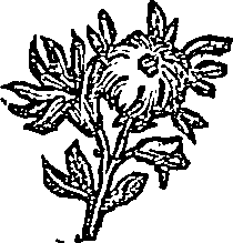 041/041600090100200_0.png