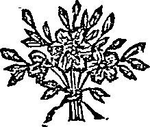 041/041600090100260_0.png