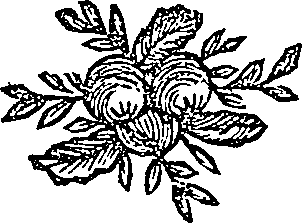 041/041600090100340_0.png