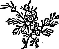 041/041600090100450_0.png