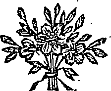 041/041600090101470_0.png