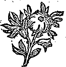 041/041600090101670_0.png