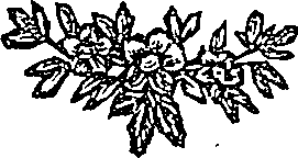 041/041600090101840_0.png