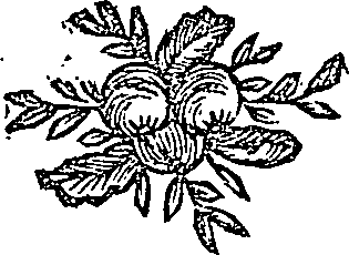 041/041600090102040_0.png