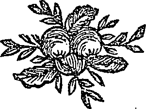 041/041600090102700_0.png