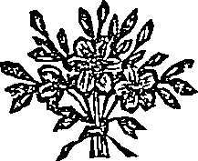 041/041600090103000_0.png