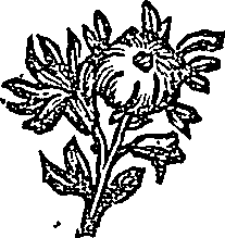 041/041600090103160_0.png