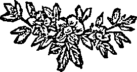 041/041600090200780_0.png