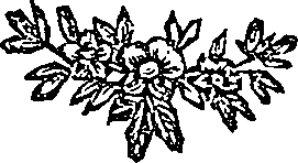 041/041600090201460_0.png