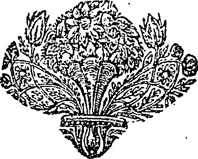 041/041750020202290_0.png