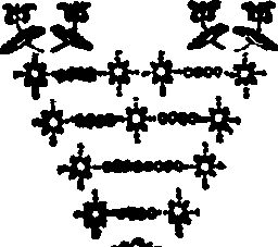 041/041830030001160_0.png