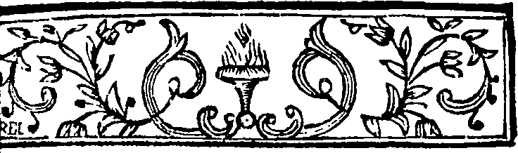 041/041870020200570_2.png