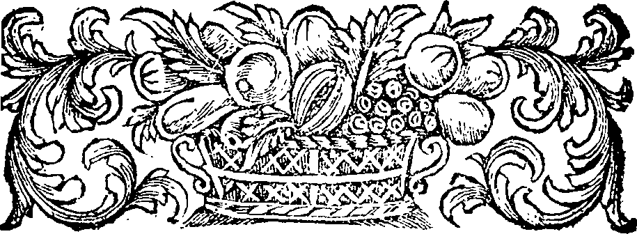 041/041970060000900_2.png