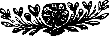 041/041990010105020_0.png