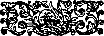 041/041990010202500_0.png