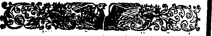 041/041990010204890_0.png