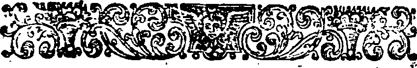 041/041990010206170_0.png