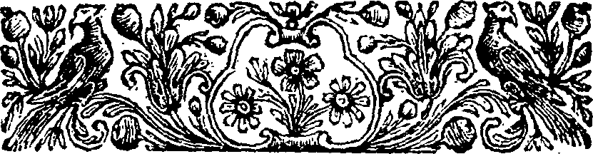 042/042060250000110_1.png