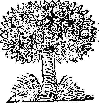 042/042130020001310_0.png