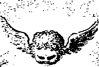 042/042190170000010_0.png