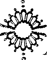 042/042300060101560_0.png