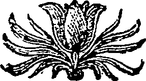 042/042470140201920_0.png