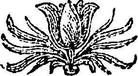 042/042470140202950_0.png