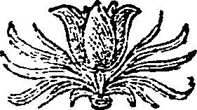 042/042470140300780_0.png