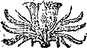 042/042470140302030_0.png