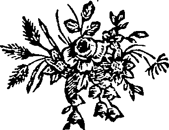 042/042530040000240_0.png
