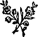 042/042530040000850_0.png