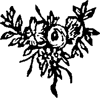042/042530040001000_0.png