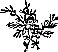 042/042530040001700_0.png