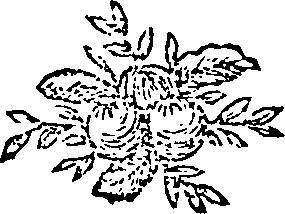 042/042530040002560_0.png