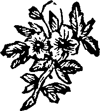 042/042530040003580_0.png