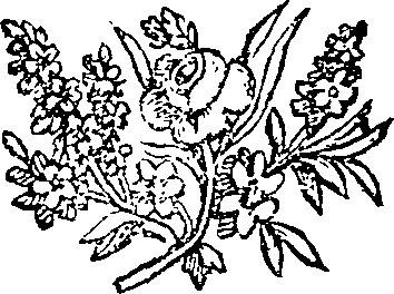 042/042620010000010_0.png