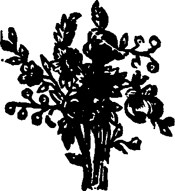 042/042620010001370_0.png
