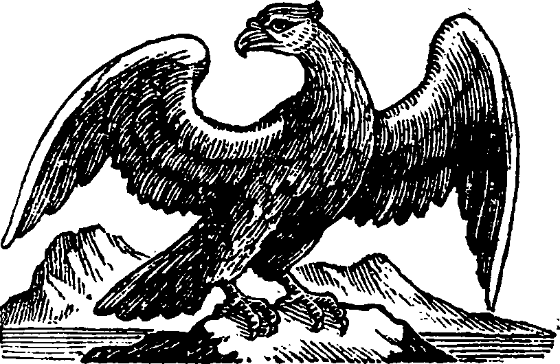 043/043010050001590_0.png