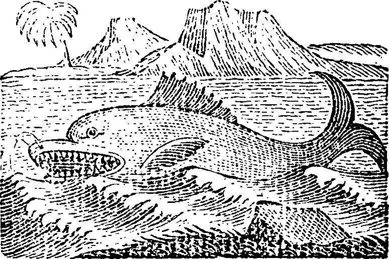 043/043010050001890_0.png