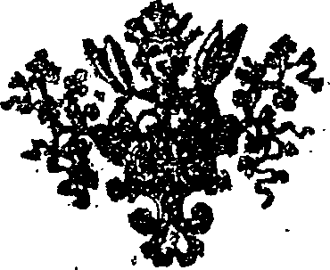 043/043050050300010_0.png