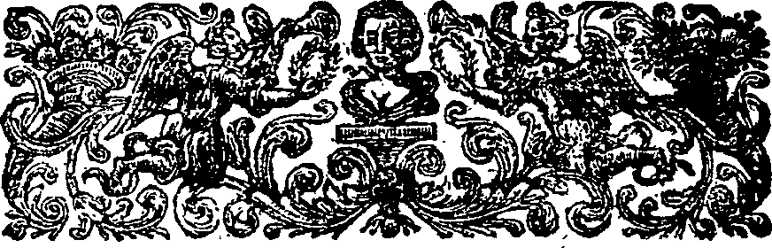 043/043240100000020_1.png