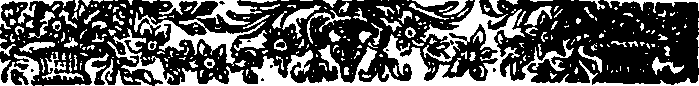 043/043330030002950_1.png