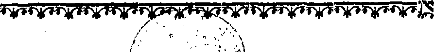 043/043410390000030_0.png
