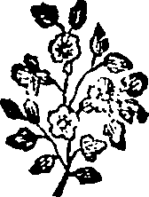 043/043680070200190_0.png