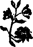 043/043680070201090_0.png