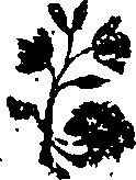 043/043680070201350_0.png